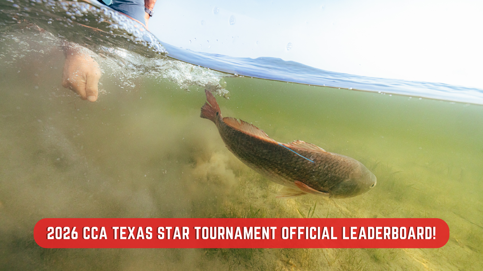 2026 CCA Texas STAR Tournament - Leaderboard Website Image - Post-Tournament