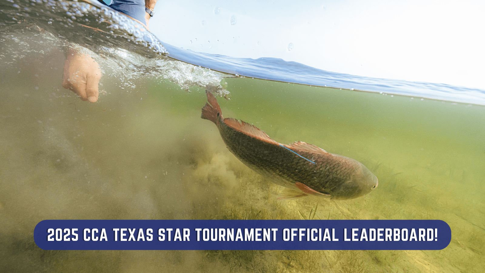 CCA Texas STAR Tournament - Leaderboard Website Image - Post-Tournament